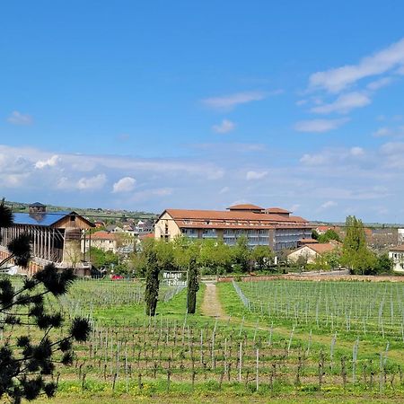 Ihr Bett Mit Blick Auf Die Weinberge Bad Duerkheim Exterior photo