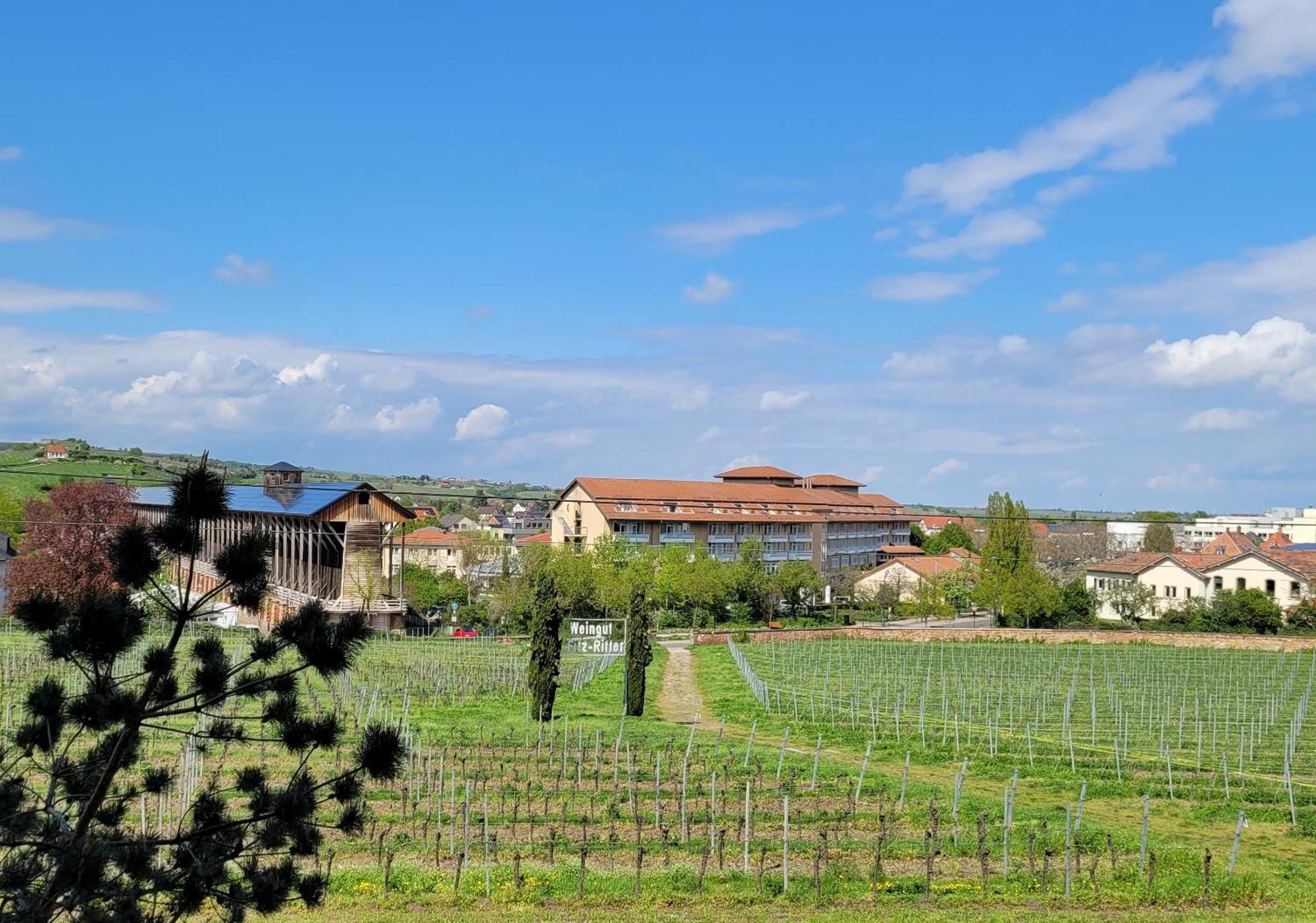 Ihr Bett Mit Blick Auf Die Weinberge Bad Duerkheim Exterior photo