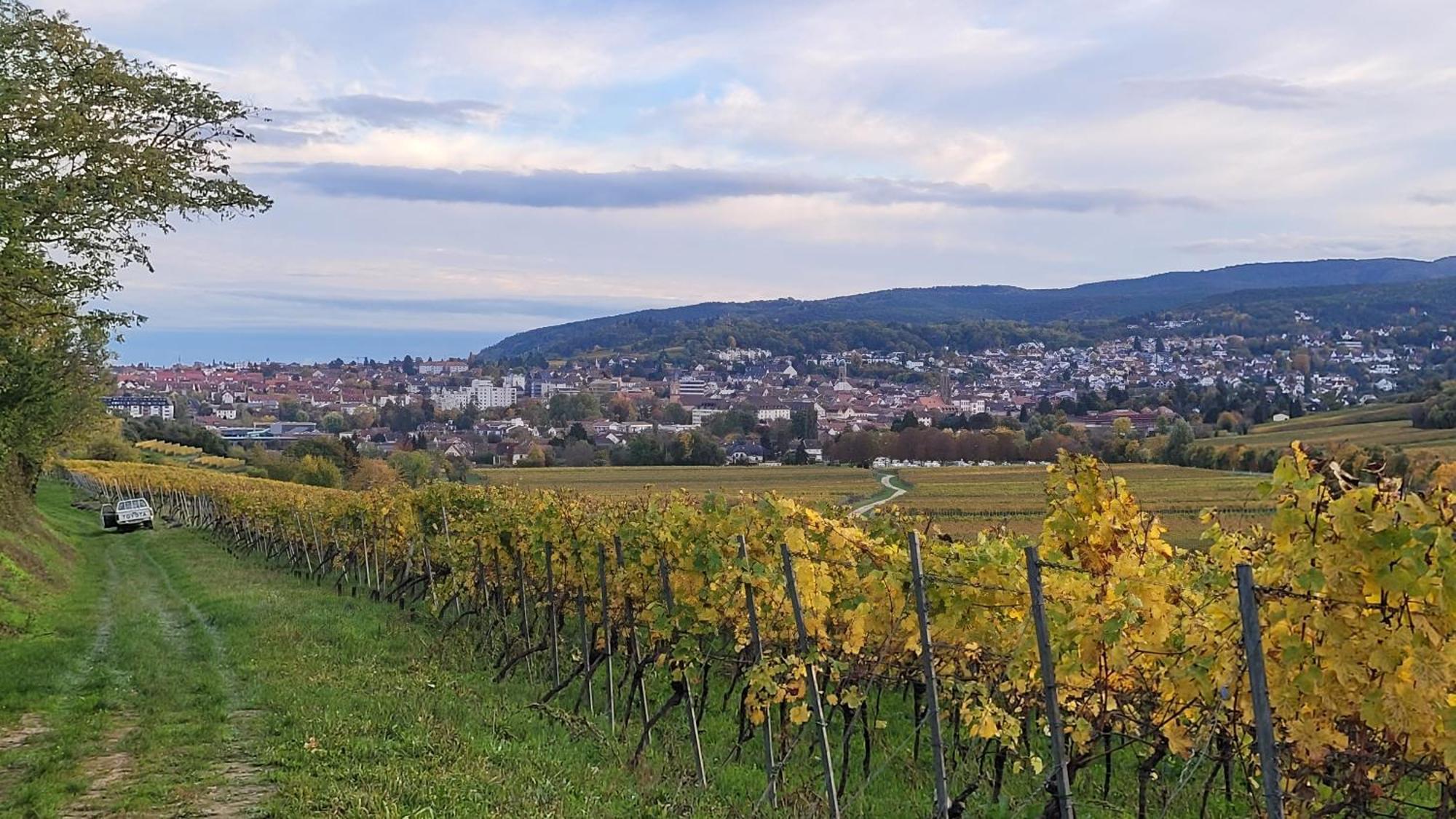 Ihr Bett Mit Blick Auf Die Weinberge Bad Duerkheim Exterior photo